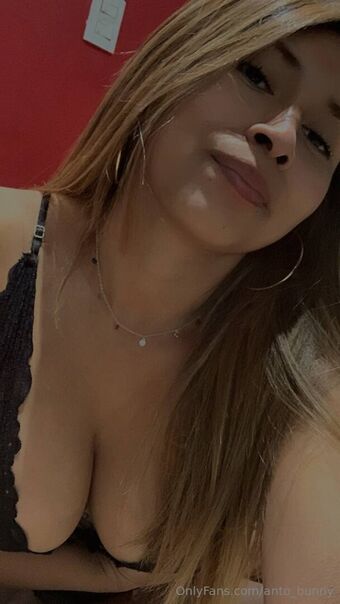 anto_bunny