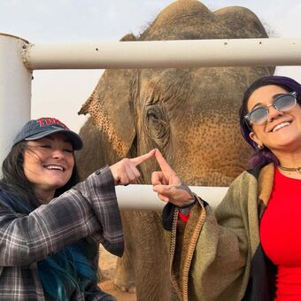 Bayley
