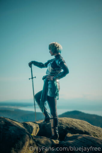bluejayfree