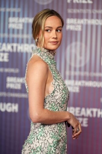 Brie Larson Nackt Leaks OnlyFans Foto 285