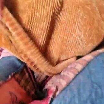 Cami Sweet Nackt Leaks OnlyFans Foto 40