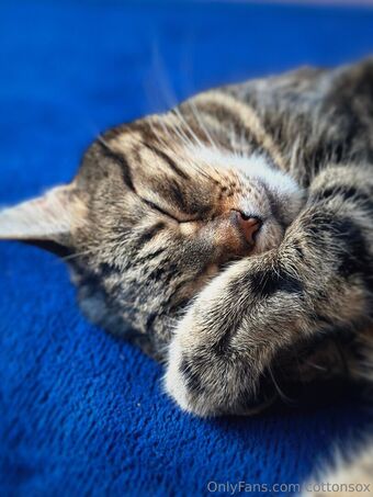 cottonsox Nackt Leaks OnlyFans Foto 57