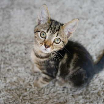 cottonsox Nackt Leaks OnlyFans Foto 59