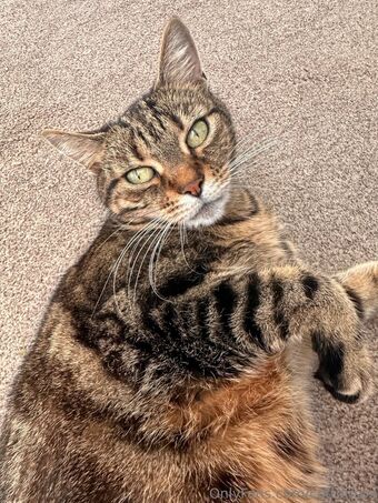 cottonsox Nackt Leaks OnlyFans Foto 61