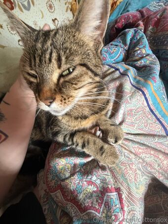 cottonsox Nackt Leaks OnlyFans Foto 63