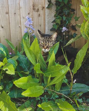 cottonsox Nackt Leaks OnlyFans Foto 64