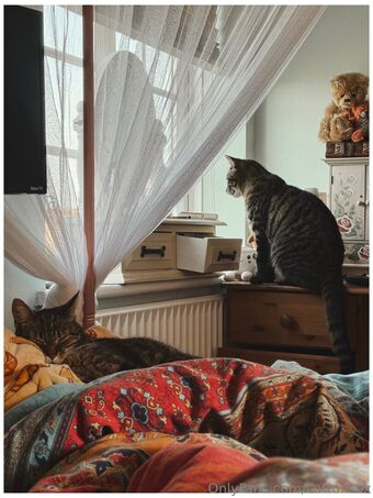 cottonsox Nackt Leaks OnlyFans Foto 66