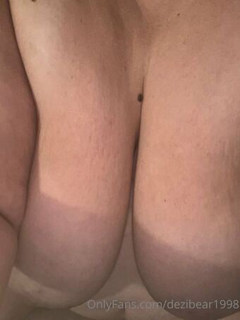dezibear1998