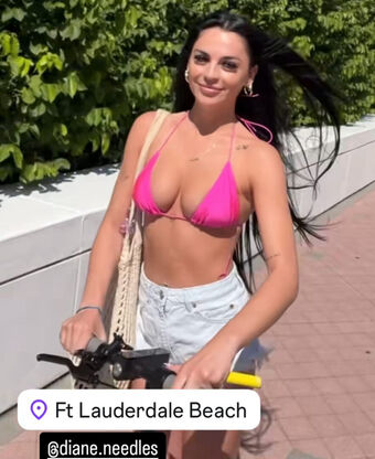 dianeneedles