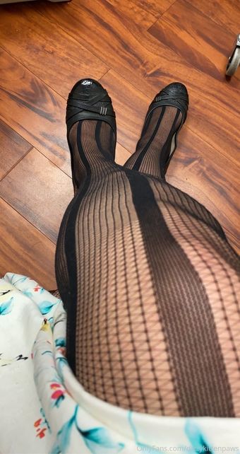 dizzykittenpaws
