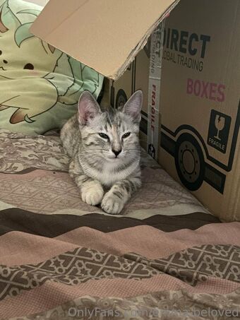 Emma-Beloved Nackt Leaks OnlyFans Foto 14