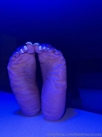 feedmecocoaa Nackt Leaks OnlyFans Foto 20