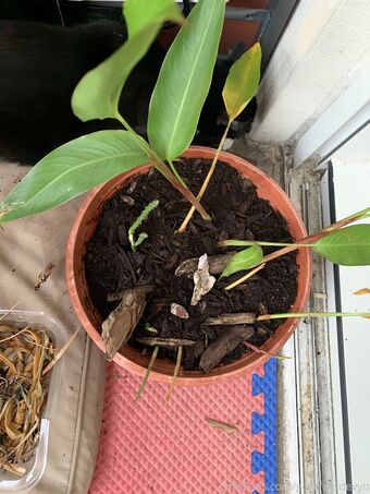 goddessdevyn Nackt Leaks OnlyFans Foto 10