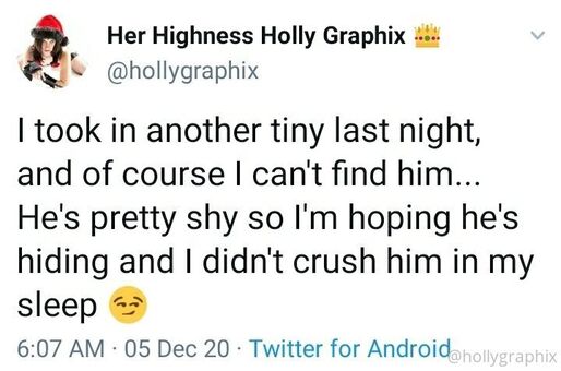 hollygraphix