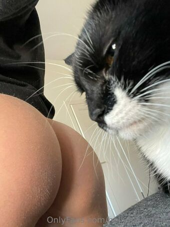 hollymoonvvip Nackt Leaks OnlyFans Foto 3