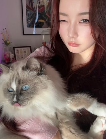 Kiittwy Nackt Leaks OnlyFans Foto 173