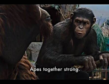 lilijunex Nackt Leaks OnlyFans Foto 125