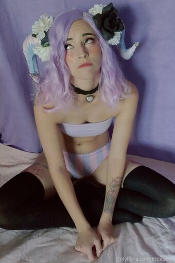 littlestfox