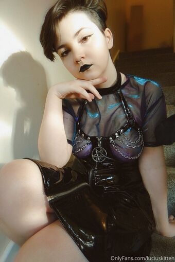 luciuskitten