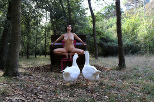 Luz Del Fierro Nackt Leaks OnlyFans Foto 57