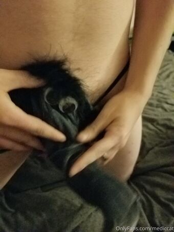 mediccat