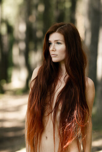 Mia-sollis