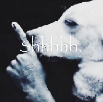 Nina Lin Nackt Leaks OnlyFans Foto 4