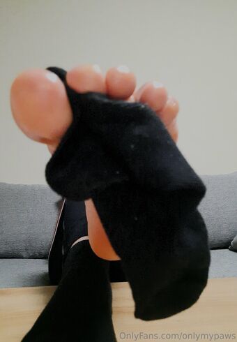 onlymypaws