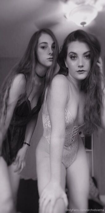 orchidsierra