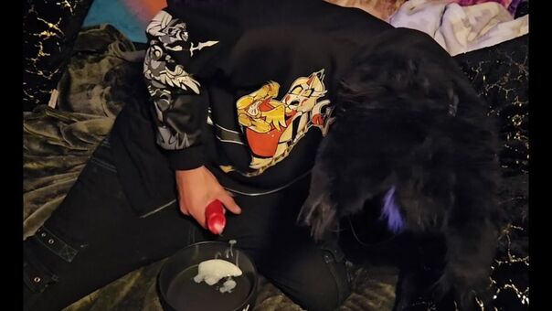 pawsheisty Nackt Leaks OnlyFans Foto 7