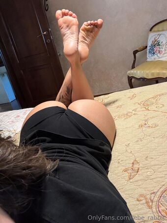 rebe.rabbit