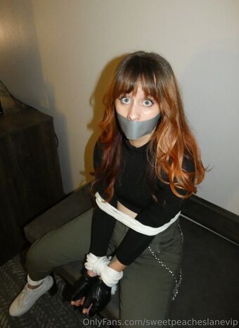 sweetpeacheslanevip Nackt Leaks OnlyFans Foto 30