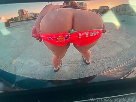 taylorhalll