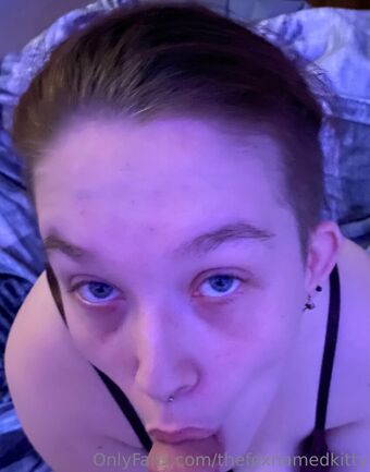thefoxnamedkitty