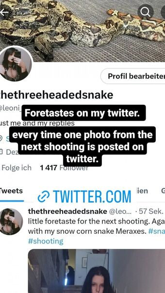 Thethreeheadedsnake