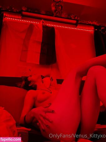 Venus-kitty Nackt Leaks OnlyFans Foto 38