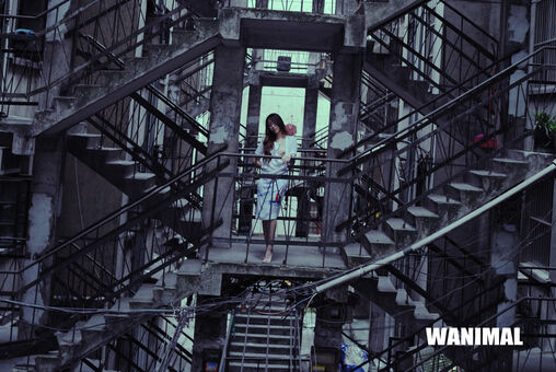 Wanimal Models Nackt Leaks OnlyFans Foto 377