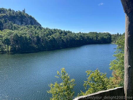 your_delight2001free